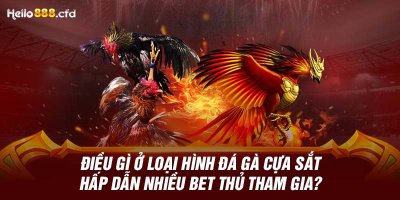 Điều gì ở loại hình đá gà cựa sắt hấp dẫn nhiều bet thủ tham gia?