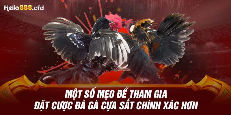 Một số mẹo để tham gia đặt cược đá gà cựa sắt chính xác hơn